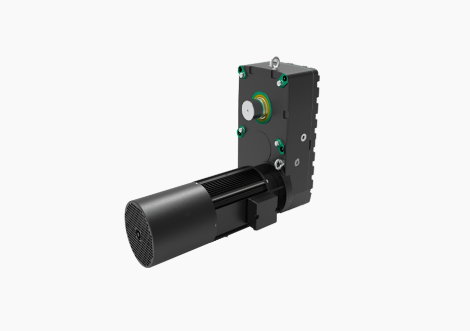 Kran Gear-motor